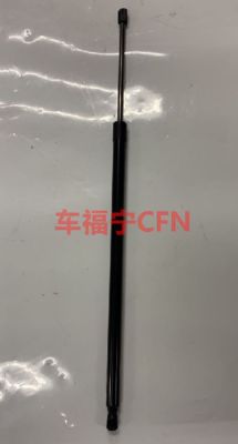 GASVEER - MOTORKAP VOOR MODEL S 2012-2021  1062634-00-A